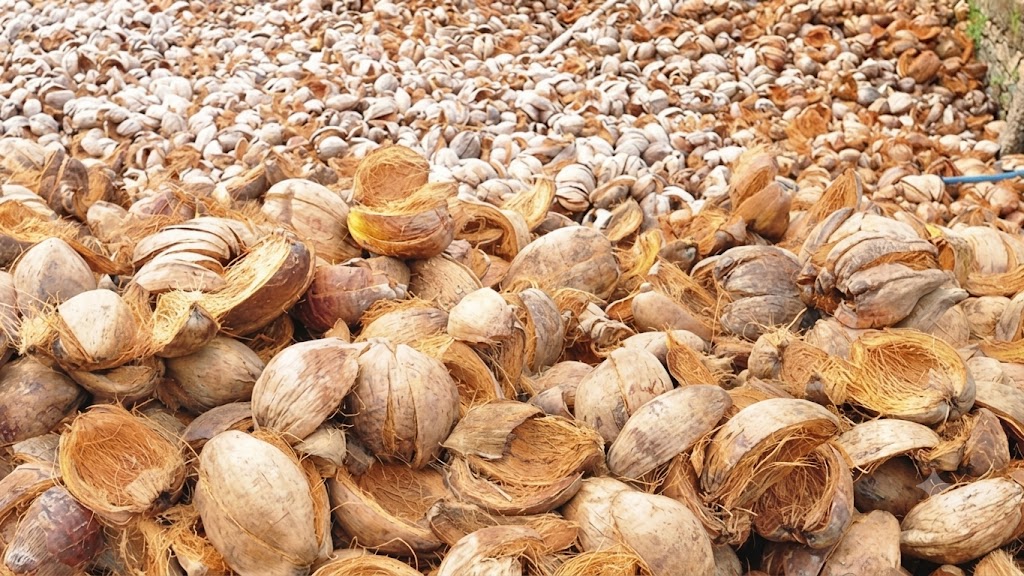 Raw coconut husks